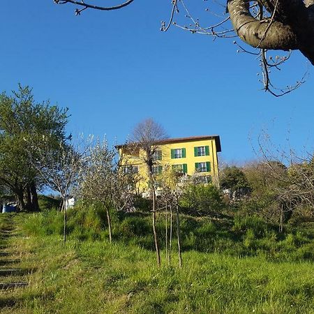 Villa Maria Mignanego Экстерьер фото