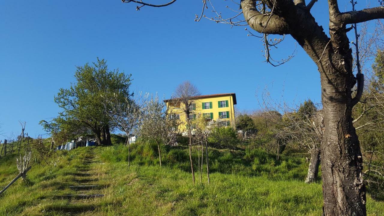 Villa Maria Mignanego Экстерьер фото